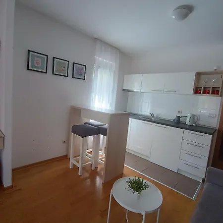 Karamarkovic Apartment Vrnjacka Banja