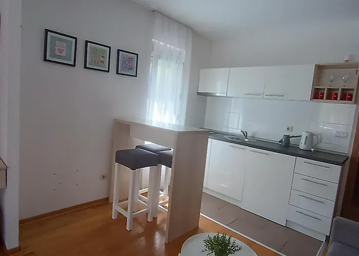 Karamarkovic 公寓 Vrnjačka Banja